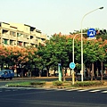 東豐路16.JPG