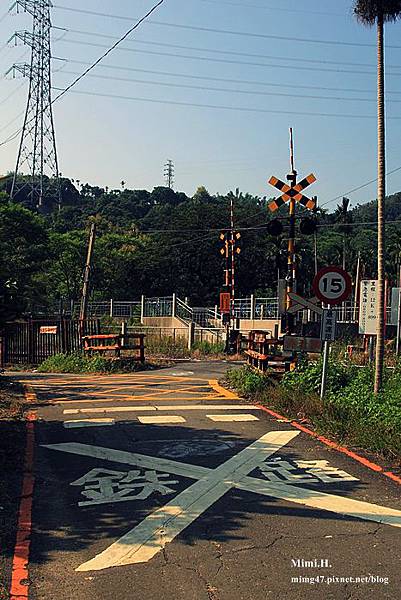 集集綠色隧道10.JPG