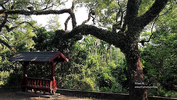 集集綠色隧道12.JPG