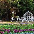 2014百花祭1.JPG