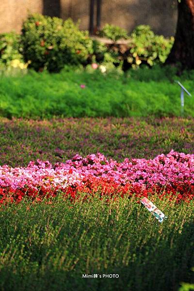 2014百花祭28.JPG