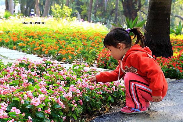 2014百花祭33.JPG