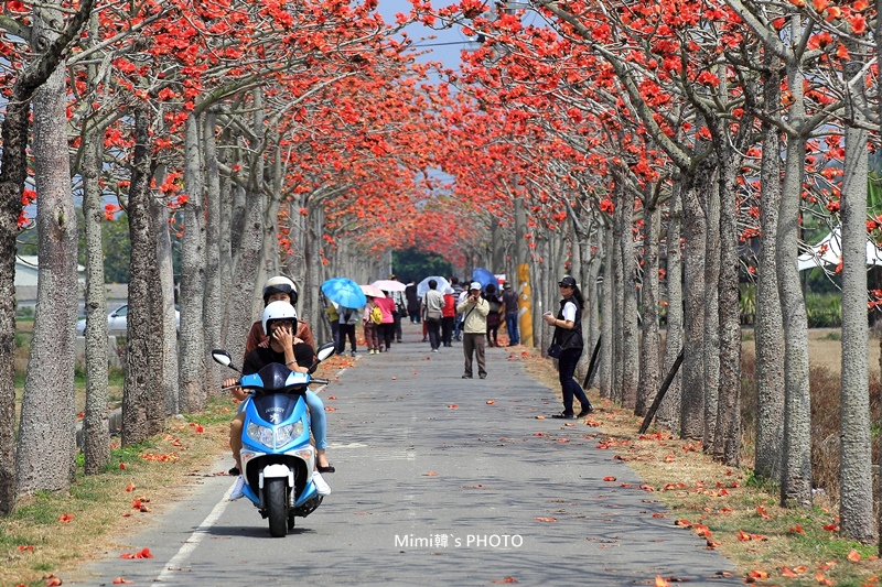 【台南景點】白河.店仔口 x 蓮巴達小旅行:賞蓮花、學荷染、縫虎仔包,來白河也能這樣玩~