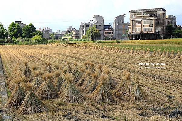 大粒丸民宿7.JPG