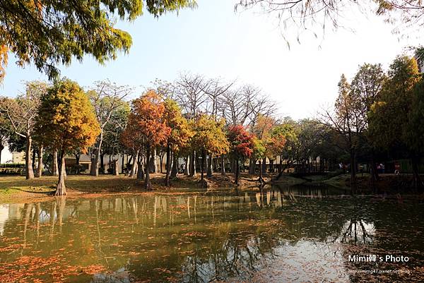 巴克禮公園9.JPG