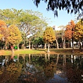 巴克禮公園16.JPG