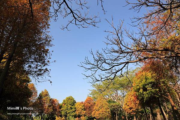 巴克禮公園19.JPG