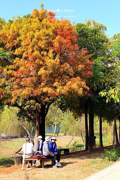 巴克禮公園32.JPG