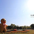 水萍溫公園百花季1.JPG