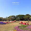 水萍溫公園百花季16.JPG