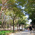 水萍溫公園百花季38.JPG