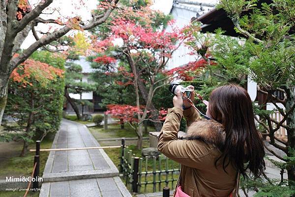 東福寺-7.jpg