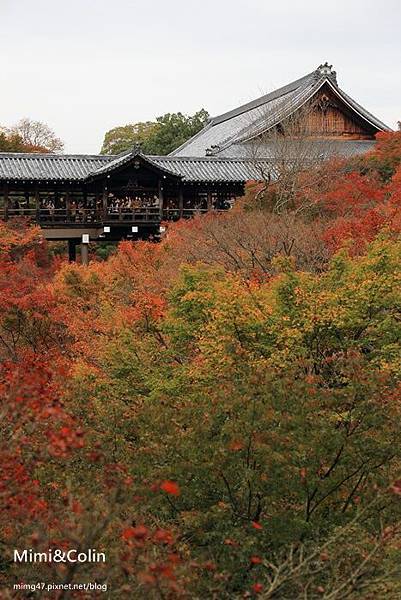 東福寺-11.jpg