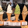 京都嵐山楓葉-17.jpg