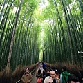 京都嵐山楓葉-21.jpg