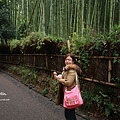 京都嵐山楓葉-19.jpg