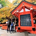 京都嵐山楓葉-29.jpg