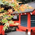 京都嵐山楓葉-27.jpg