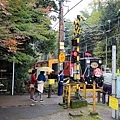 京都嵐山楓葉-30.jpg