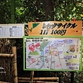 京都嵐山楓葉-33.jpg
