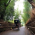 京都嵐山楓葉-32.jpg
