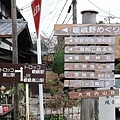 京都嵐山楓葉-35.jpg