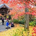 京都嵐山楓葉-40.jpg