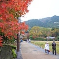 京都嵐山楓葉-37.jpg