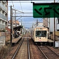 京都嵐山楓葉-49.jpg