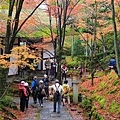 常寂光寺&天龍寺-26.jpg