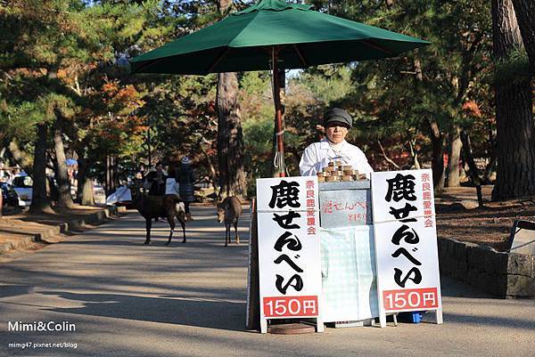 奈良東大寺-17.jpg