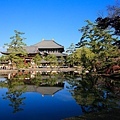 奈良東大寺-19.jpg