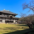 奈良東大寺-22.jpg