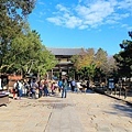 奈良東大寺-18.jpg