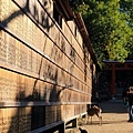 奈良東大寺-39.jpg