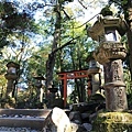 奈良東大寺-36.JPG