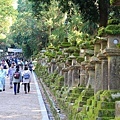 奈良東大寺-37.jpg