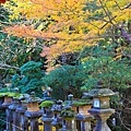 奈良東大寺-43.jpg