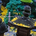 奈良東大寺-44.jpg