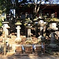 奈良東大寺-42.jpg