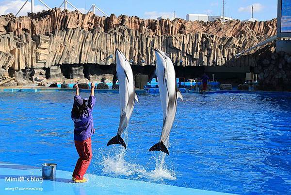 名古屋水族館-20.jpg