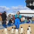 名古屋水族館-27.jpg