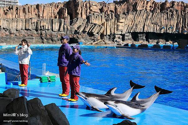 名古屋水族館-24.jpg