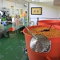 嘉義金桔觀光工廠-21.jpg