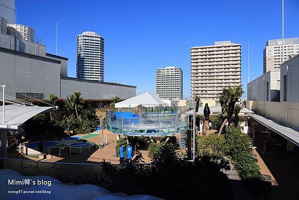 池袋太陽城水族館-13.jpg