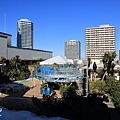 池袋太陽城水族館-13.jpg