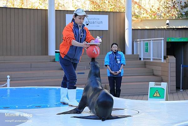 池袋太陽城水族館-16.jpg