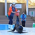 池袋太陽城水族館-16.jpg