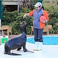 池袋太陽城水族館-17.jpg