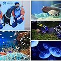 池袋太陽城水族館-22.jpg